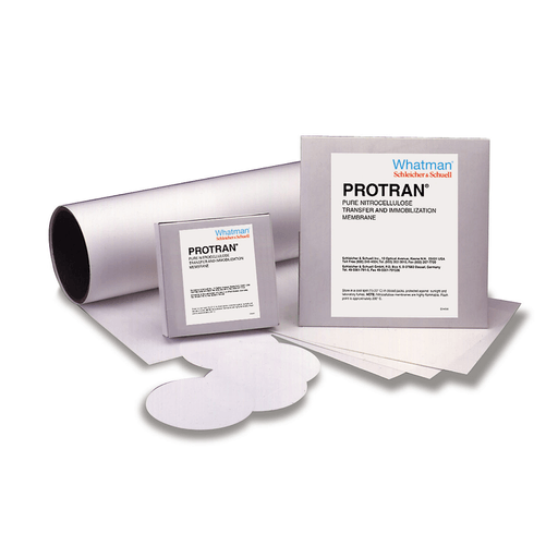 CYTIVA BLOTTING MEMBRANES - Blotting Membrane, Protran Nitrocellulose, BA85 Circles, 132mm, 0.45l Pore Size, 50/pk | Quantity - 1x PK