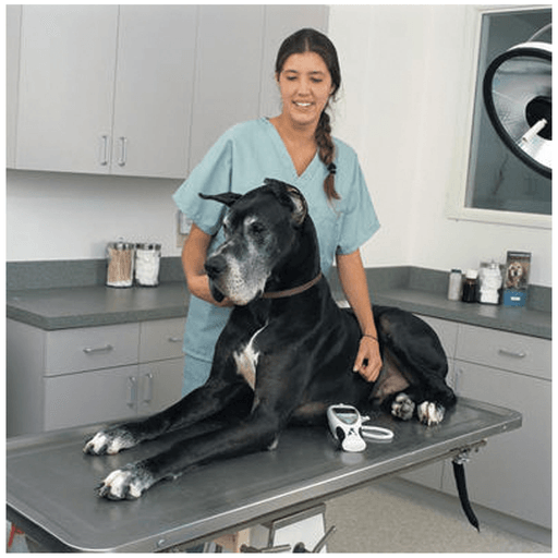 WELCH ALLYN SURETEMP PLUS ELECTRONIC THERMOMETER - Model 690 Electronic Thermometer, Rectal Probe, Rectal Probe Well, 2-Year Limited Warranty | Quantity - 1x EA