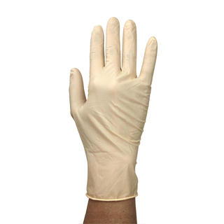 Sterile Latex Examination Glove-Powder Free - Pairs (Size L) | Quantity - 1x CS