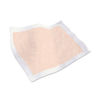 Tranquility® Heavy Duty Underpad, 30 x 36 Inch | Quantity - 1x BG