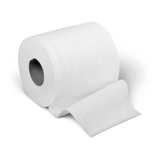 PAPER TOILET 2PLY  4.5 X3.8   500SHTS/EA | Quantity - 1x 1 Each / Each