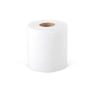 PAPER  TOILET  DLX  2PLY  400SHTS/EA