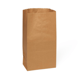 BAG PAPER 8.5X5X16 BROWN