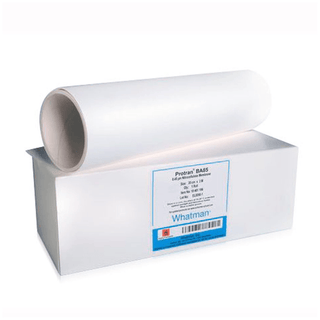 CYTIVA BLOTTING MEMBRANES - Membrane Roll, 30cm x 3m (300mm x 3m), Nytran N2, 0.2m Pore Size, 1/pk | Quantity - 1x PK