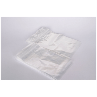 MEDEGEN ZIP CLOSURE BAGS - Bag, 5" x 8", Print Label No Print, 2 Mil, Clear/ No Print, 100/bx, 10 bx/cs | Quantity - 1x CS