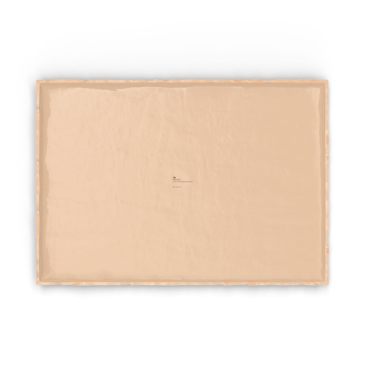MOLNLYCKE SUNDANCE POSITIONER - Large Positioner, 1/cs (US Only) | Quantity - 1x CS