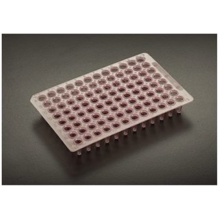 SIMPORT AMPLATE 96 - WELL THIN-WALLED PCR PLATES - 96 Thin Walled PCR Plate, 0.2mL, Blue, 10/bg, 10 bg/cs | Quantity - 1x CS