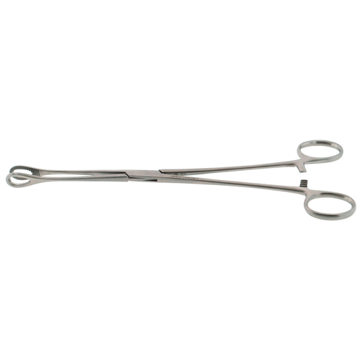 BR SURGICAL FOERSTER FORCEPS - Foerster Forcep, Serrated, Curved, 7" | Quantity - 1x EA