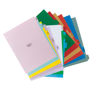 OMNIMED BEAM CUSTOM POLY DIVIDER SETS - 13 Tab/Set Divider Sets | Quantity - 1x SET